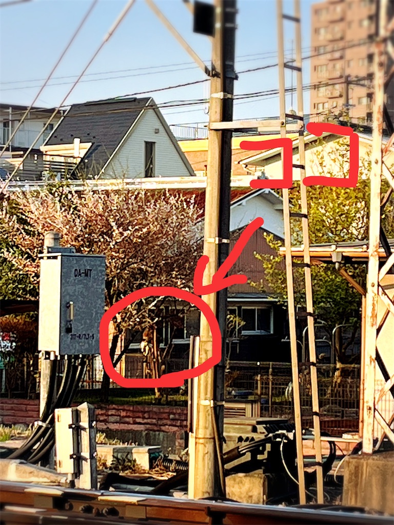 f:id:yomechang:20220310080757j:plain
