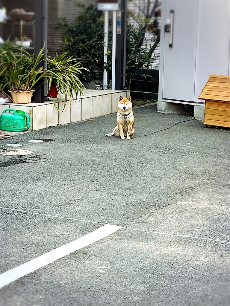 f:id:yomechang:20220310081148j:plain
