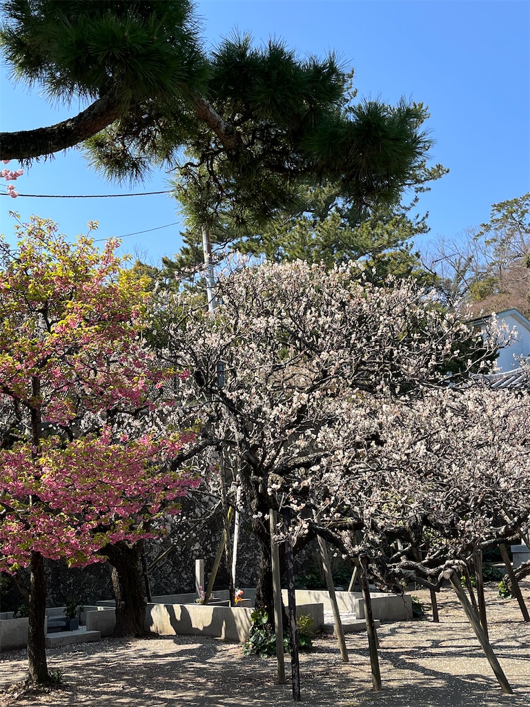 f:id:yomechang:20220312161123j:plain