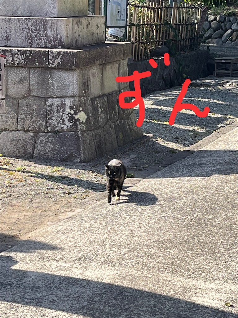f:id:yomechang:20220312170504j:plain