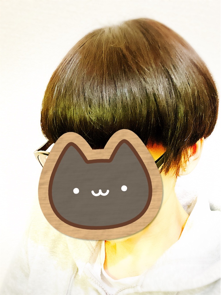f:id:yomechang:20220330185214j:plain