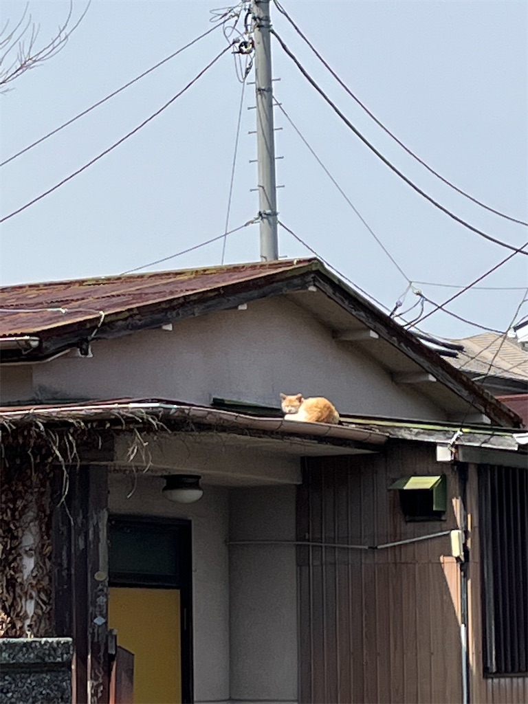 f:id:yomechang:20220402133351j:plain
