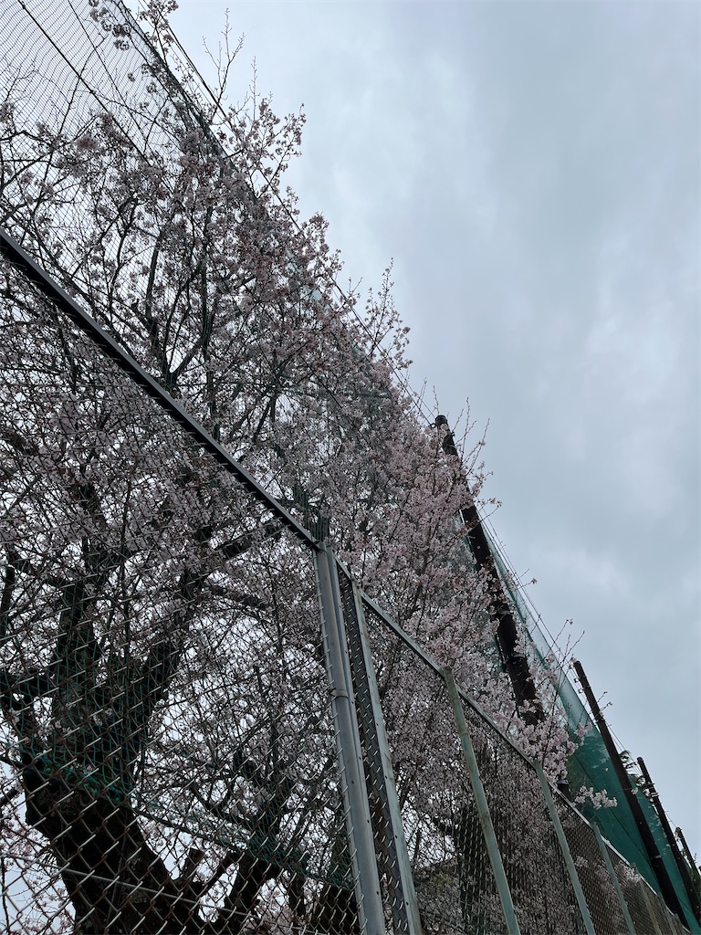f:id:yomechang:20220403102002j:plain