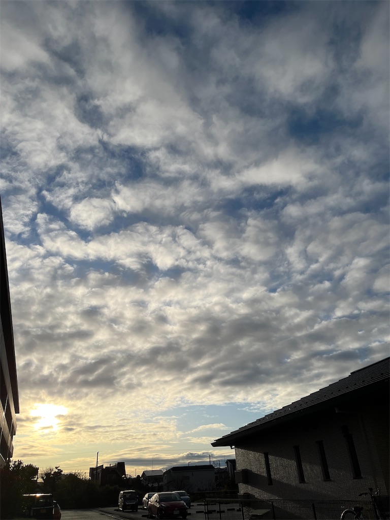 f:id:yomechang:20220405113748j:plain