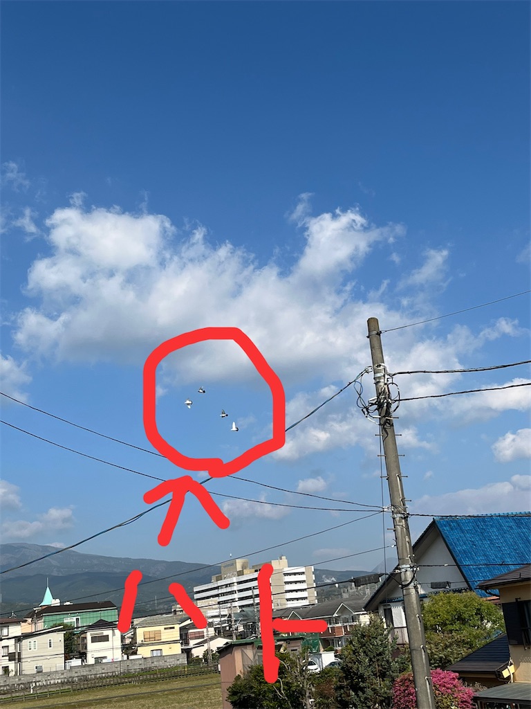 f:id:yomechang:20220409083635j:plain