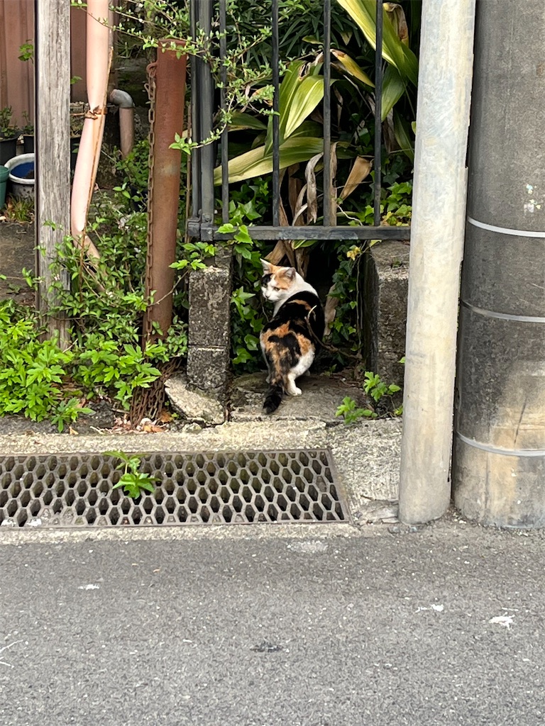 f:id:yomechang:20220411113622j:plain