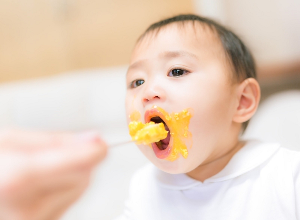 値引 STOKKE ステップス レッグのみ - mqa-bc.com 値引 STOKKE ステップス レッグのみ - mqa-bc.com