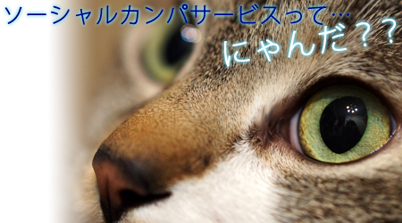 f:id:yomikodesign:20150508171523j:plain
