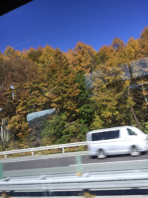 f:id:yomikodesign:20151116221729j:plain
