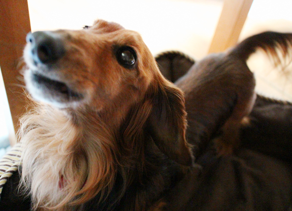 f:id:yomikodesign:20160328221139j:plain