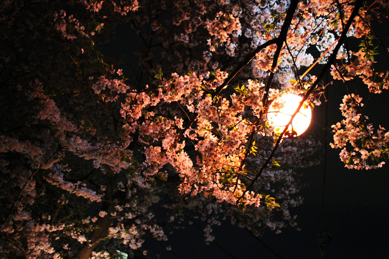 f:id:yomikodesign:20160413234435j:plain
