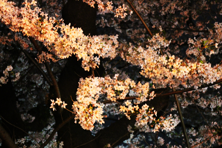f:id:yomikodesign:20160413234440j:plain