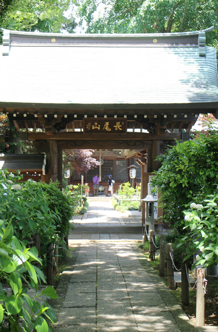 f:id:yomikodesign:20160608130933j:plain