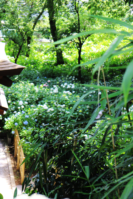 f:id:yomikodesign:20160608130938j:plain