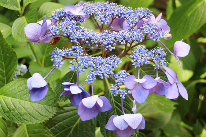 f:id:yomikodesign:20160608130942j:plain