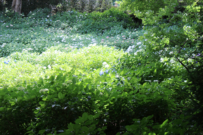 f:id:yomikodesign:20160608130946j:plain