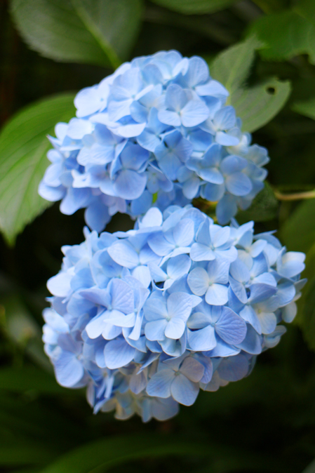 f:id:yomikodesign:20160608223943j:plain