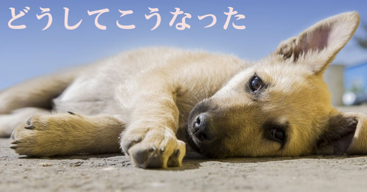 f:id:yomikodesign:20160820230223j:plain