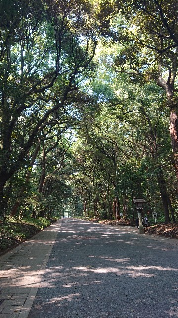 f:id:yominabe:20220701190340j:image f:id:yominabe:20220701190340j:image