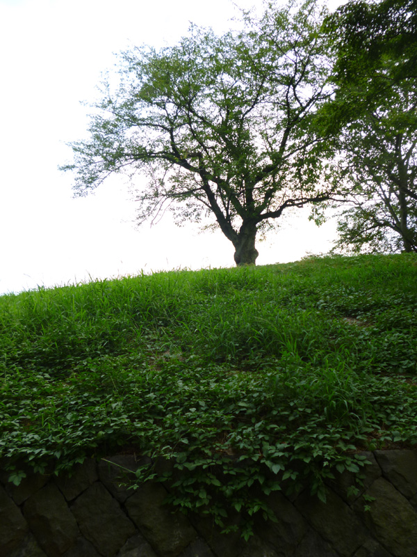 f:id:yomo_shu1:20120813225427j:image