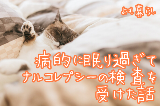 f:id:yomocracy:20171218143252j:plain f:id:yomocracy:20171218143252j:plain