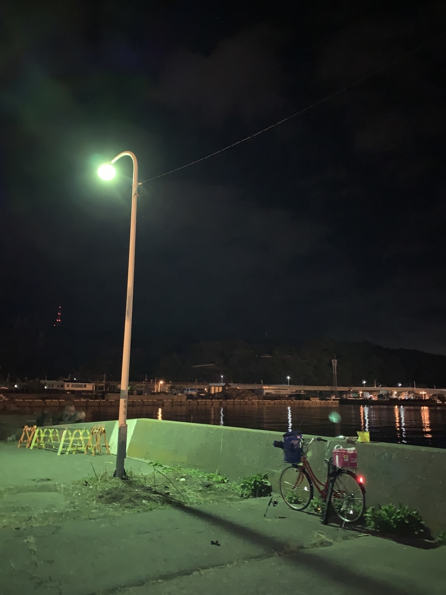 19 12 29 清水港 袖師埠頭 アジング朝練 うみぽちゃ 波止釣りはじめました