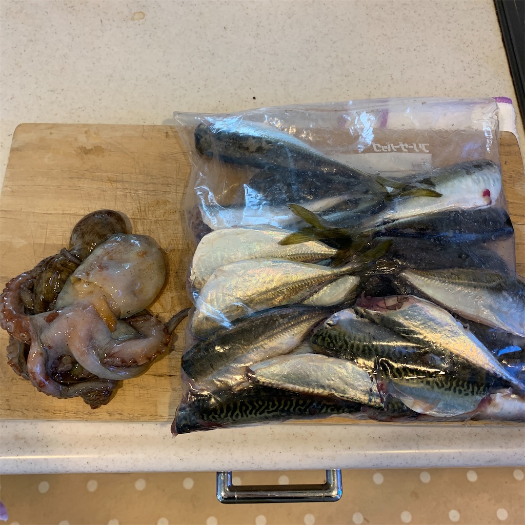 06 南港でタコとアジとサバ釣り 波止釣りはじめました