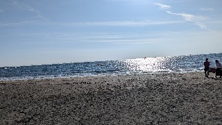 f:id:yomogi3tan:20250311220407j:image