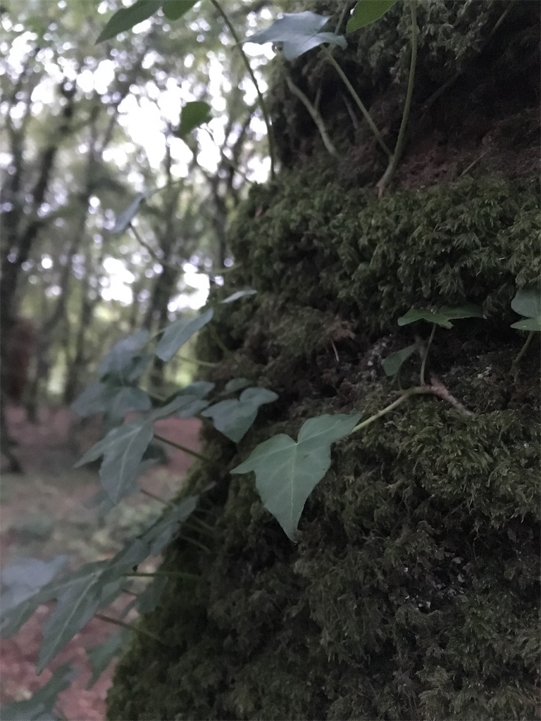 f:id:yomokuma_land:20181003065042j:image f:id:yomokuma_land:20181003065042j:image