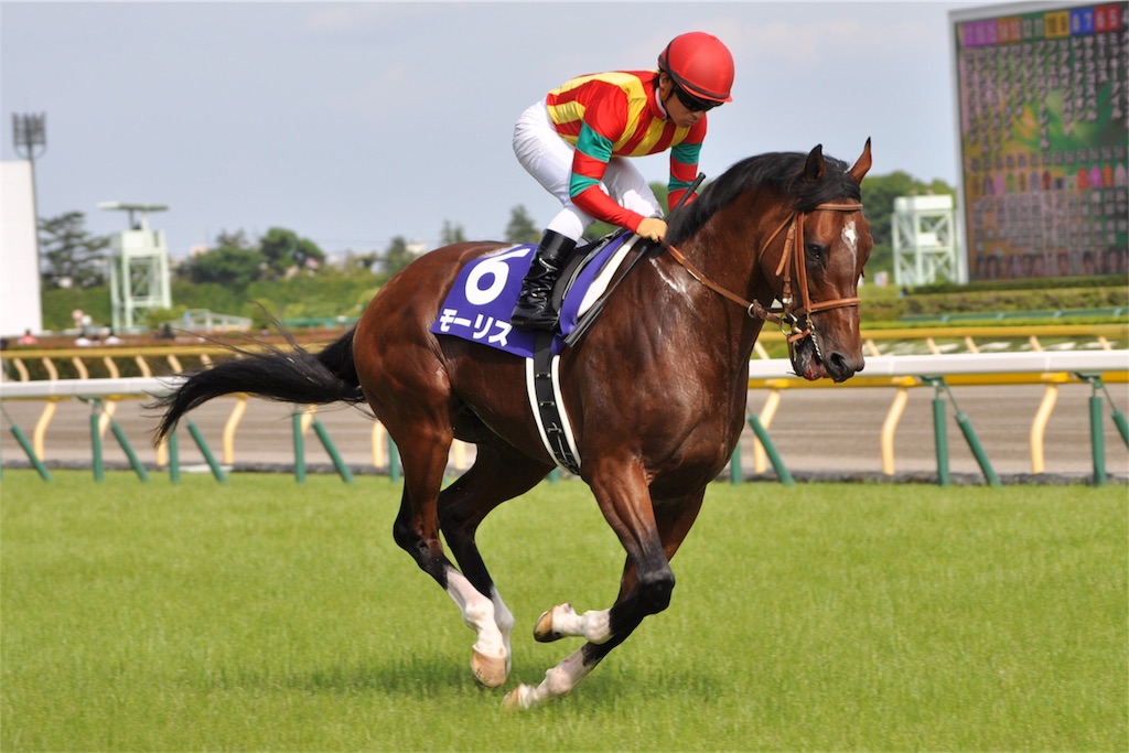 安田記念2017 結論 よもうまの追い切りシリーズ