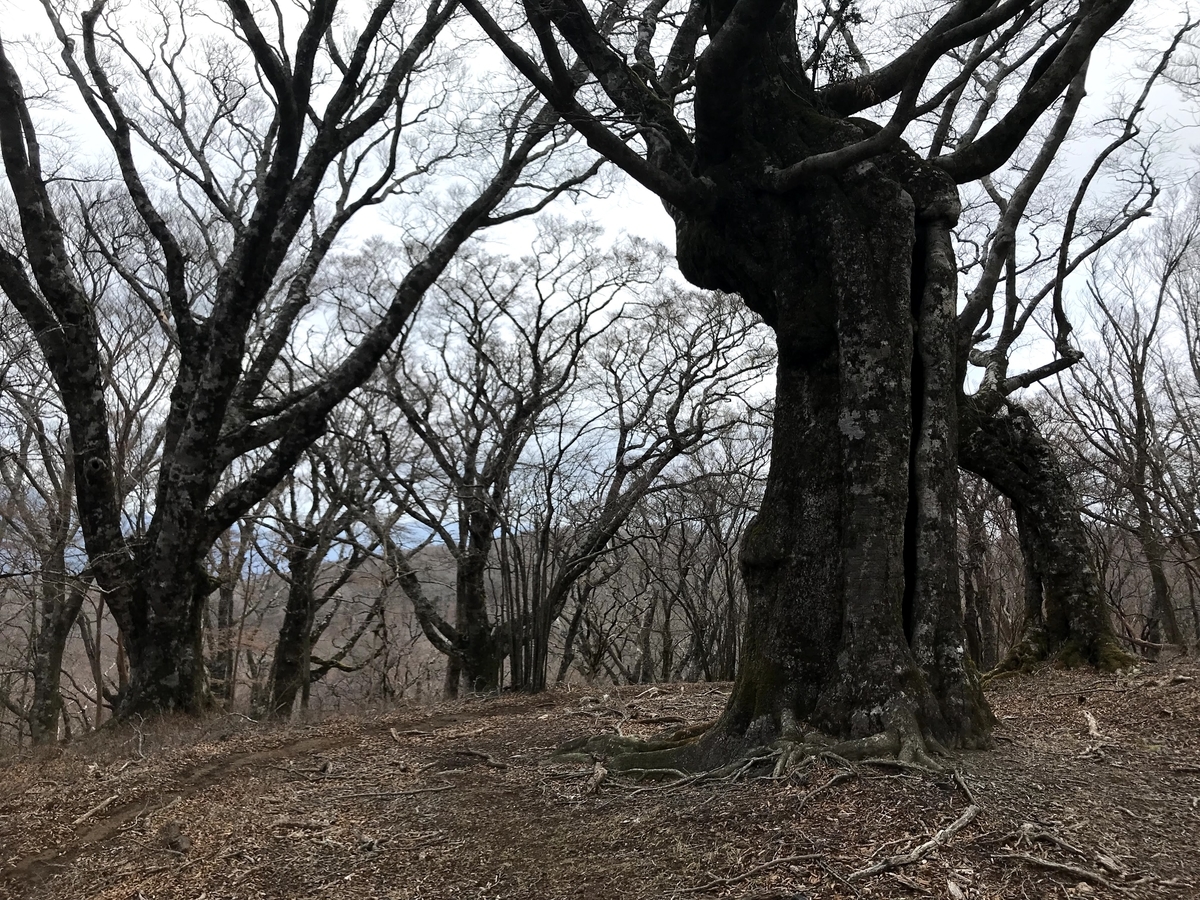 f:id:yomoyama_noboru:20200329183242j:plain f:id:yomoyama_noboru:20200329183242j:plain