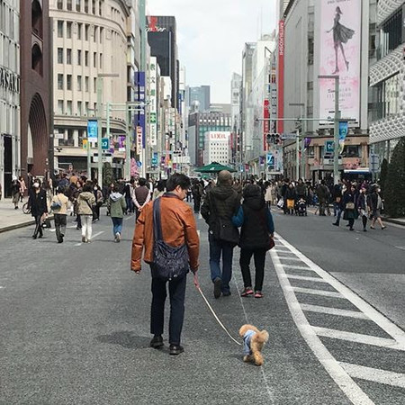 f:id:yomoyomo:20181229220352j:image