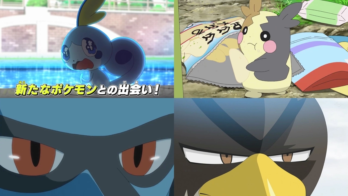 ポケモン剣盾 アニメ これからの物語 キバナ登場など詳細について ポケモンスイッチ攻略press