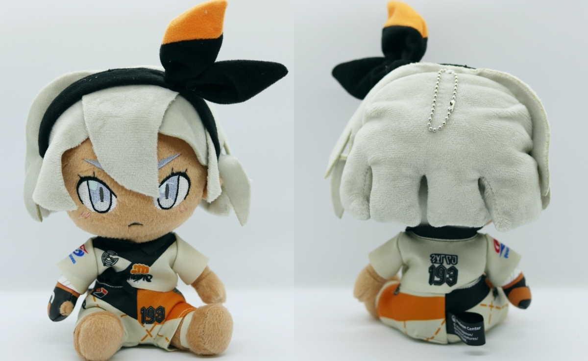 ポケモン剣盾】DLC限定予約特典を購入したのでレビュー