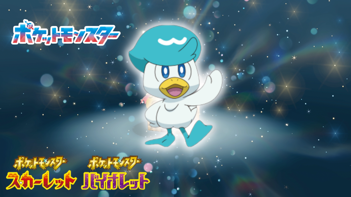 ポケモンSV】「ドットのクワッス」合言葉が配布！ポケどこ期間限定の