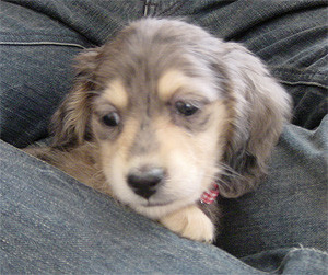 f:id:yomukusuri:20050420213917:image f:id:yomukusuri:20050420213917:image