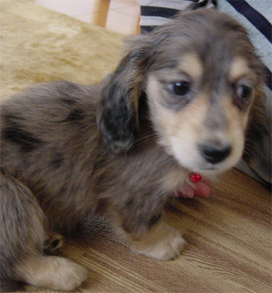 f:id:yomukusuri:20050420214109:image f:id:yomukusuri:20050420214109:image