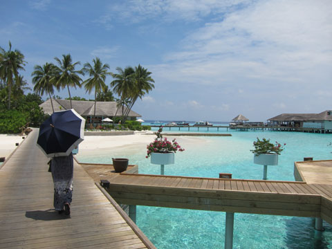 f:id:yomumirutaberu:20170121121504j:plain f:id:yomumirutaberu:20170121121504j:plain