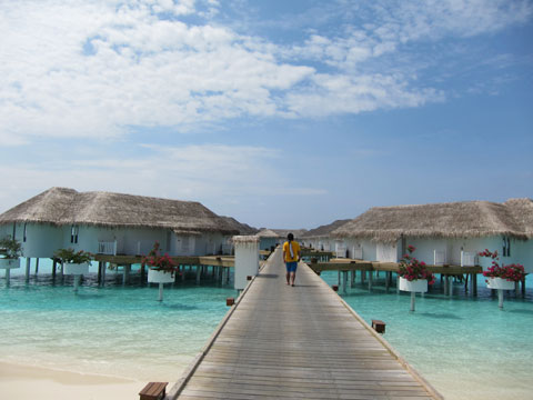 f:id:yomumirutaberu:20170121121519j:plain f:id:yomumirutaberu:20170121121519j:plain