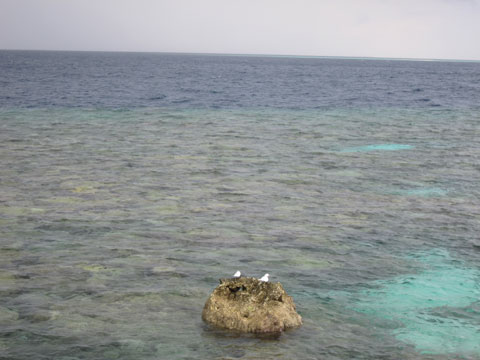 f:id:yomumirutaberu:20170122184814j:plain