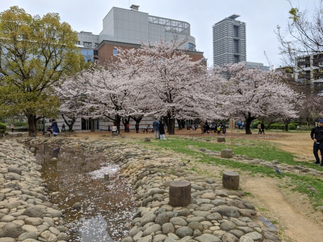 f:id:yomumirutaberu:20200413171759j:image