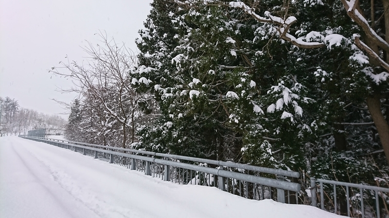 美術館からの帰り道