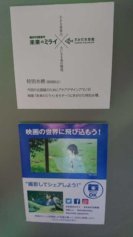 未来のミライ とのコラボ展示を見に すみだ水族館に行ってみた 墨田区押上 趣味は散歩です