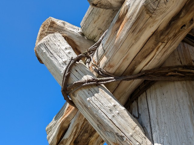 f:id:yomumirutaberu:20240921071204j:image