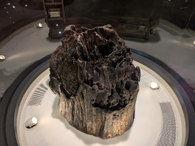 f:id:yomumirutaberu:20240921071428j:image