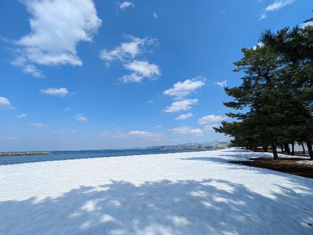 f:id:yomumirutaberu:20250412002452j:image