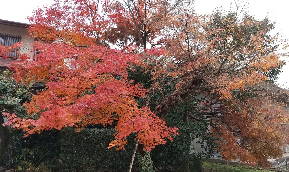 f:id:yomurashamroch:20211217221045j:plain