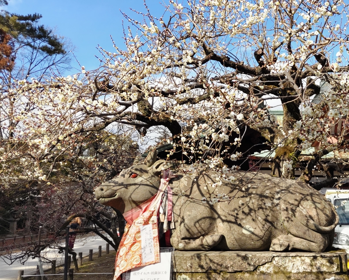 f:id:yomurashamroch:20220219103653j:plain