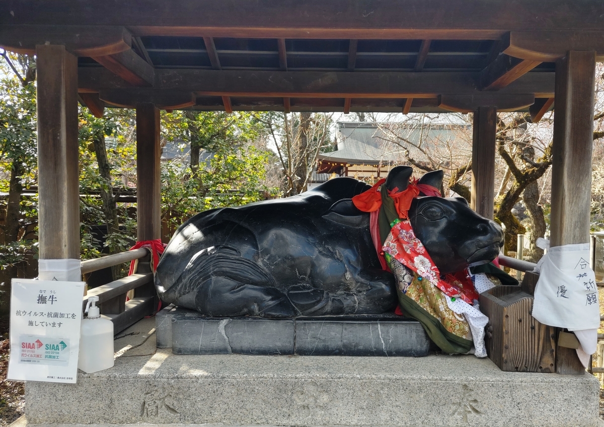 f:id:yomurashamroch:20220219110200j:plain