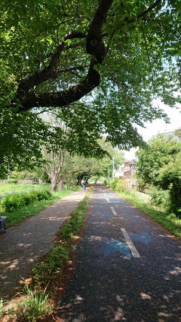f:id:yon501xx:20190501132046j:image